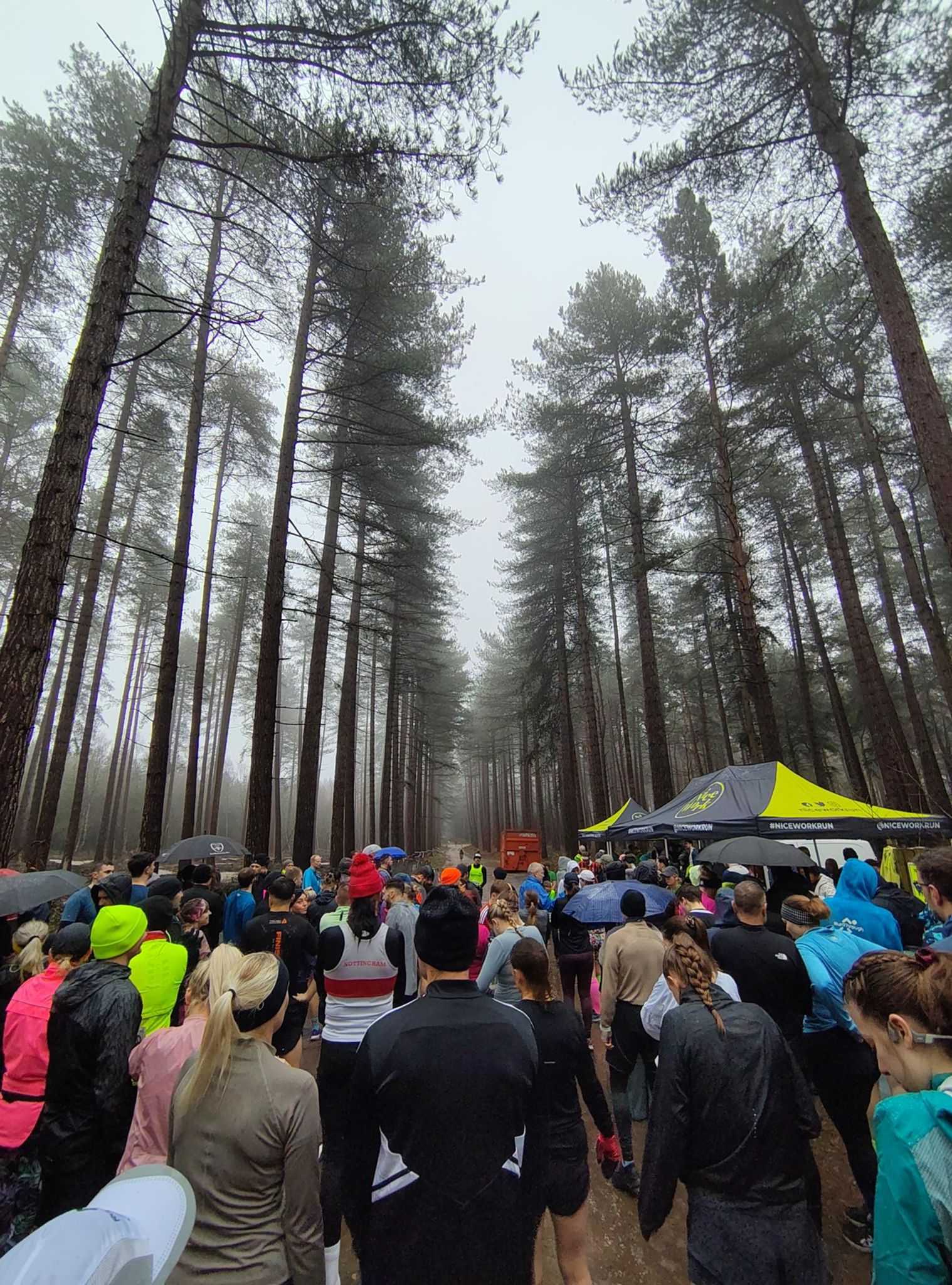 Shwerwood Pine 10k at the start